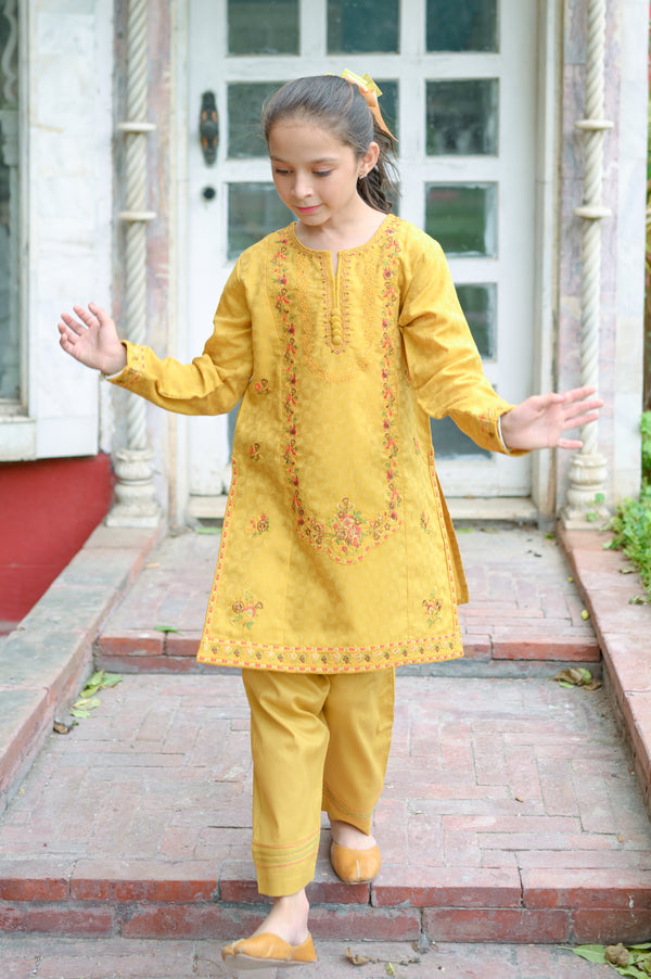 Jacquard Embroidered 2pc Suit 4637